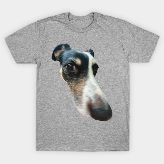 big nose dog funny meme T-Shirt by maoudraw